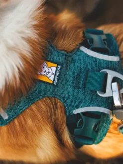 Harnais ruffwear - Front Range Flex Harness - Deep teal
