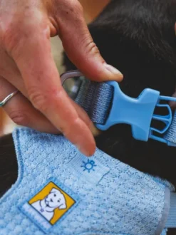 Harnais ruffwear - Front Range Flex Harness - Bleu polaire