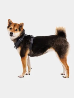 Harnais ruffwear - Front Range - Basalt Gray