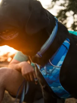 Harnais ruffwear - Front Range - Coastal Mountains