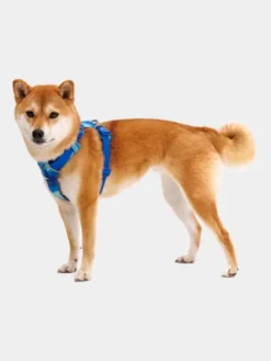 Harnais ruffwear - Front Range - Coastal Mountains