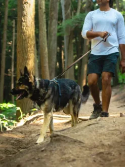 Harnais ruffwear - Front Range - Moonlight Mountains
