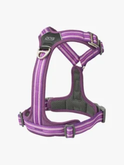 Harnais Violet pour chien - Comfort Walk Air 3.0 - DOG Copenhagen