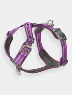 Harnais Violet pour chien - Comfort Walk Air 3.0 - DOG Copenhagen