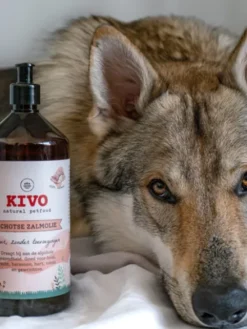 Huile de Saumon pour chien et chat - Beauté du pelage