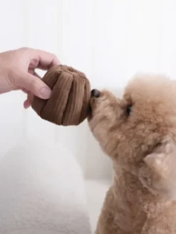 Jeu de fouille interactif pour chien - Cannelé