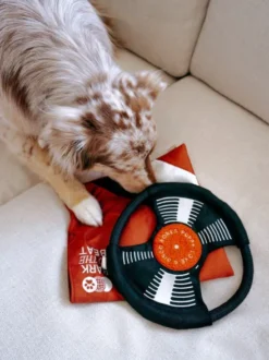 Jeu d'occupation pour chien - Bark To Beat 💿🎵 - Lambwolf Collective