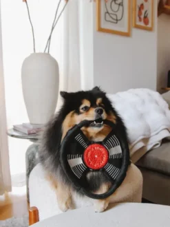 Jeu d'occupation pour chien - Bark To Beat 💿🎵 - Lambwolf Collective