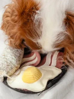 Jeu d'occupation pour chien - Breakfast 🍳 - Lambwolf Collective