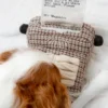 Jeu d'occupation pour chien - Machine à écrire 📜 - Lambwolf Collective (Copie)