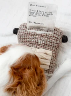 Jeu d'occupation pour chien - Machine à écrire 📜 - Lambwolf Collective (Copie)