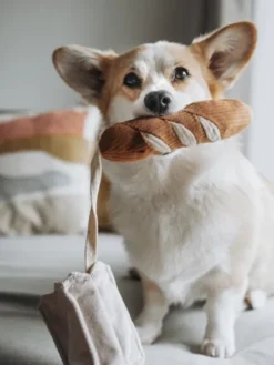 Jeu d'occupation pour chien - Mini Baguette - Lambwolf Collective