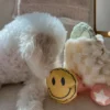 Jeu d'occupation pour chien - Roller Skate 🛼 - Lambwolf Collective