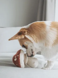 Jeu d'occupation pour chien - Shroom - Lambwolf Collective