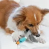 Jeu d'occupation pour chien - Tail Teaser Canne à pêche canard