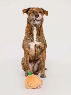 Jouet de fouille et d'enrichissement pour chien - Oignon 🧅 - The FurryFolks