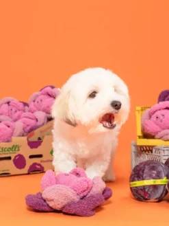 Jouet de fouille et d'enrichissement pour chien - Chou Rose - The FurryFolks