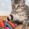 Jouet de Fouille pour Chat - KONG Pull-A-Partz Pinata 🪅