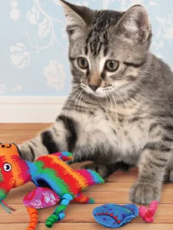 Jouet de Fouille pour Chat - KONG Pull-A-Partz Pinata 🪅