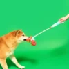 Jouet de fouille pour chien - Canne à Pêche 🎣 - The FurryFolks