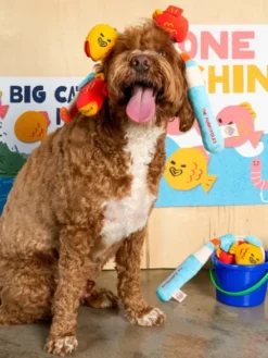 Jouet de fouille pour chien - Canne à Pêche 🎣 - The FurryFolks