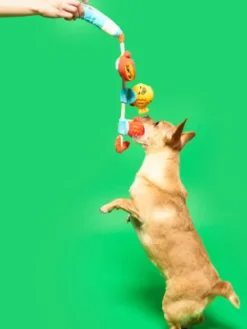 Jouet de fouille pour chien - Canne à Pêche 🎣 - The FurryFolks