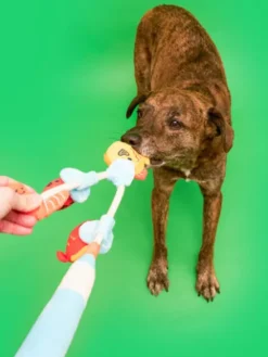 Jouet de fouille pour chien - Canne à Pêche 🎣 - The FurryFolks