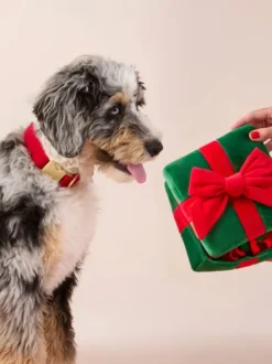 Jouet de fouille pour chien - Cadeau de Noël 🎁 - The Foggy Dog