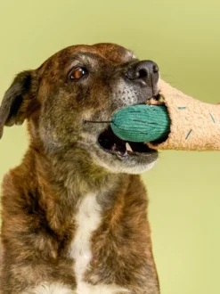 Jouet de fouille pour chien - Cornichon 🥒 - The FurryFolks