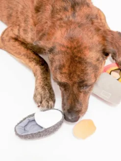 Jouet de fouille pour chien - Conserve de moules - The FurryFolks