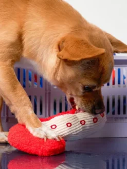 Jouet de fouille pour chien - Conserve de Poulpe 🐙 - The FurryFolks