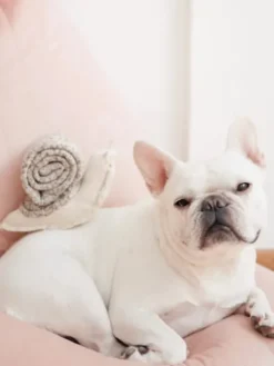 Jouet de fouille pour chien - Escargot 🐌 - Lambwolf Collective