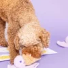 Jouet de fouille pour chien - i-scream nosework - The FurryFolks
