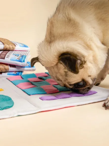 Jouet de fouille pour chien - Journal 📰 - The FurryFolks