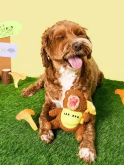 Jouet de fouille pour chien - Ours Happy Bear 🐻 - The FurryFolks