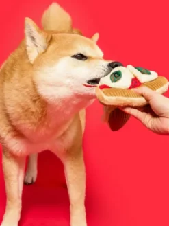 Jouet de fouille pour chien - Pizza 🍕 - The FurryFolks