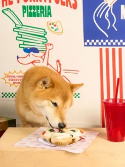 Jouet de fouille pour chien - Pizza 🍕 - The FurryFolks