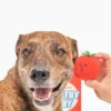 Jouet de fouille pour chien - Tomates cerises - The FurryFolks