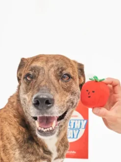 Jouet de fouille pour chien - Tomates cerises - The FurryFolks