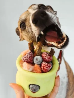 Jouet d'enrichissement pour chien - TOPPL Zogoflex Vert - West Paw