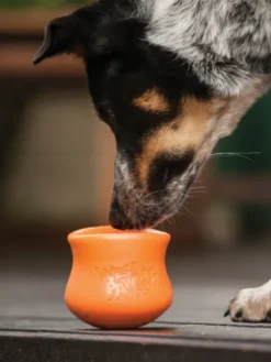 Jouet d'enrichissement pour chien - TOPPL Zogoflex Orange - West Paw