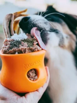Jouet d'enrichissement pour chien - TOPPL Zogoflex Orange - West Paw
