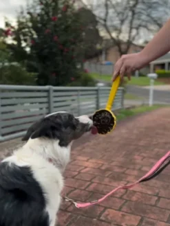 Jouet d'enrichissement pour chien - Lick Stick Honey - SodaPup