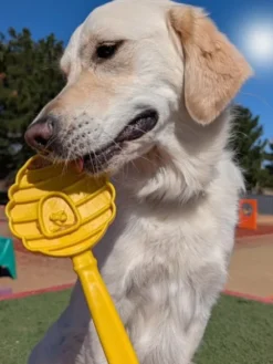 Jouet d'enrichissement pour chien - Lick Stick Honey - SodaPup