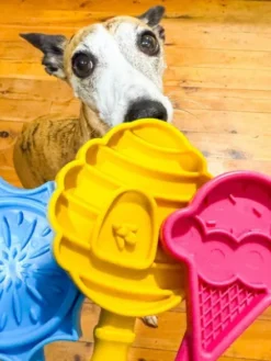 Jouet d'enrichissement pour chien - Lick Stick Flower - SodaPup
