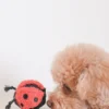 Jouet design en forme de balle - Ladybug POP 🐞 - Lambwolf Collective