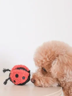 Jouet design en forme de balle - Ladybug POP 🐞 - Lambwolf Collective