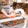 Jouet distributeur de friandises pour chien - Wobble Ball bleu - Pet PLAY