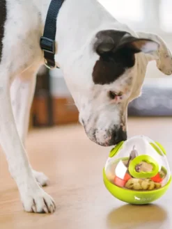 Jouet distributeur de friandises pour chien - Wobble Ball vert - Pet PLAY