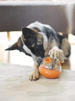 Jouet distributeur de friandises pour chien - Wobble Ball orange - Pet PLAY